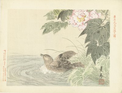 Pájaro de baño en flor rosa Bocetos de flores y pájaros de Keinen (título de la serie) Keinen kacho gafu (título de la serie sobre el objeto) de Imao Keinen