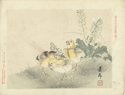 tres pollitos Bocetos de flores y pájaros de Keinen (título de la serie) Keinen kacho gafu (título de la serie sobre el objeto) de Imao Keinen