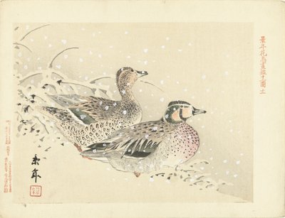 Par de patos en la nieve. Bocetos de flores y pájaros de Keinen (título de la serie) Keinen kacho gafu (título de la serie sobre el objeto) de Imao Keinen
