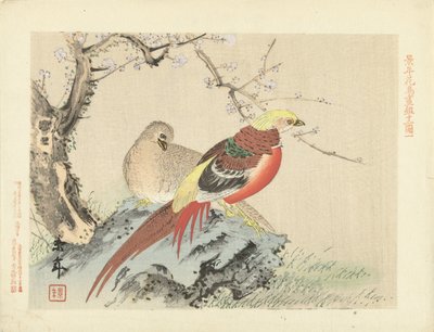 Par de faisanes en roca Bocetos de flores y pájaros de Keinen (título de la serie) Keinen kacho gafu (título de la serie sobre el objeto) de Imao Keinen