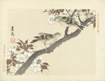 Dos pájaros verdes en rama de flor Bocetos de flores y pájaros de Keinen (título de la serie) Keinen kacho gafu (título de la serie sobre el objeto) de Imao Keinen