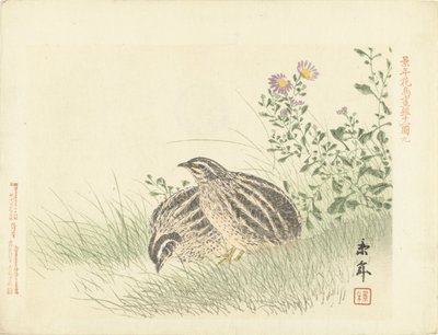 dos codornices Bocetos de flores y pájaros de Keinen (título de la serie) Keinen kacho gafu (título de la serie sobre el objeto) de Imao Keinen