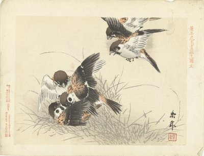 Cinco gorriones peleando Bocetos de flores y pájaros de Keinen (título de la serie) Keinen kacho gafu (título de la serie sobre el objeto) de Imao Keinen