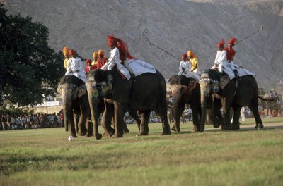 Hombres jugando al polo con elefantes (foto) de Indian Photographer