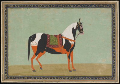 Un Caballo, siglo XIX de Indian School