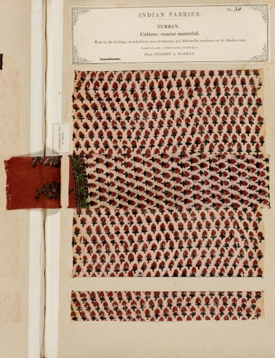 Muestra de turbante de algodón grueso de Sydapet en Madras, de La Colección de los Fabricantes de Textiles de la India, por John Forbes Watson, publicado en 1866 de Indian School