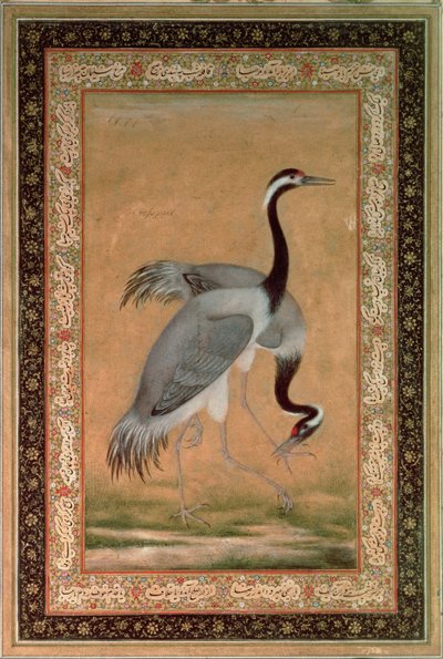 Grullas de Mansur, periodo Jahangir, mogol de Indian School