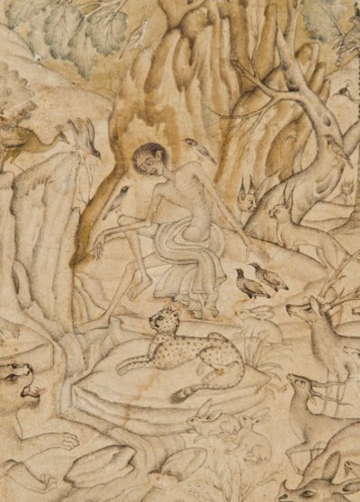 (detalle) Majnun en el desierto de Indian School