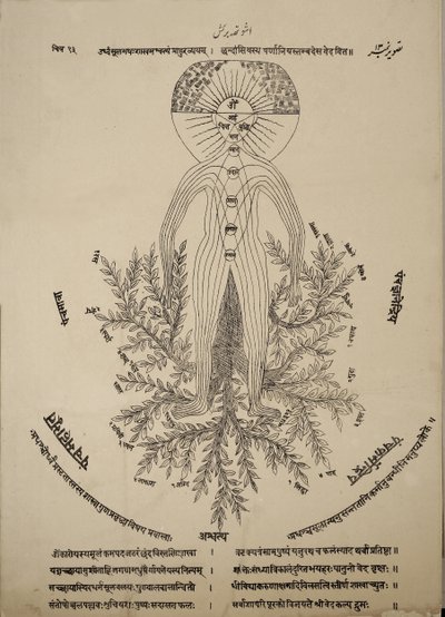 Diagrama que muestra los puntos meridianos en el cuerpo humano de Indian School