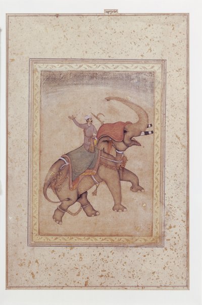 Elefante y mahout (conductor de elefantes), ca.
1595-1600 (Acuarela opaca, tinta y oro sobre papel) de Indian School