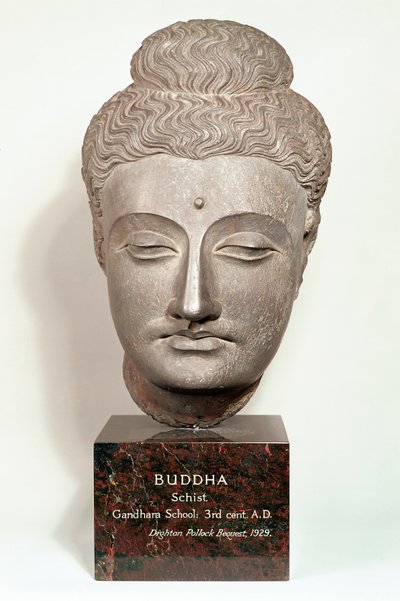 Cabeza de una estatua de Buda, de Gandhara, noroeste de India de Indian School