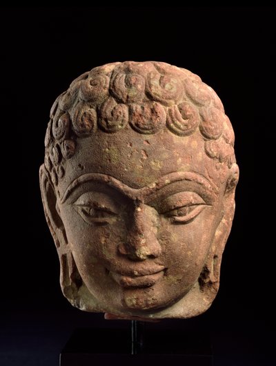 Cabeza de un Tirthankara Jain, Región de Mathura, período Kushan, siglo III-IV d.C. de Indian School