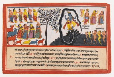 Krishna Conquista la Serpiente Kaliya, página de una Serie Dispersa del Bhagavata Purana de Indian School