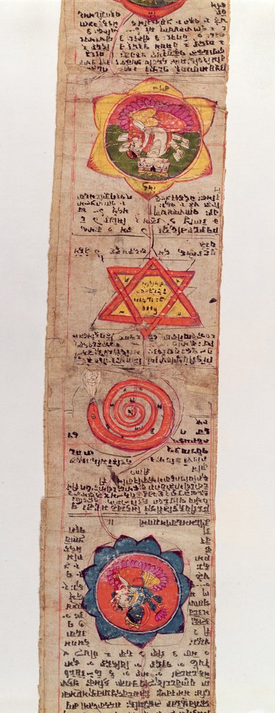 Ms Sánscrito 1804 Manuscrito médico sánscrito de Indian School