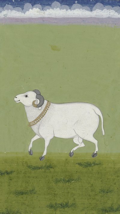 Carnero con collar dorado, 1700-1799 de Indian School