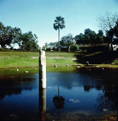 Ruinas del Palacio de Pataliputra de Indian School