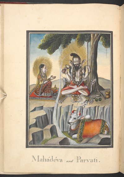  de Indian School