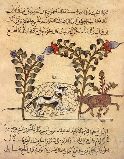 El gato y la rata, miniatura árabe de "Kalila va dimna" de Indian School