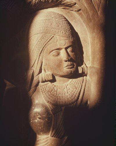 La cabeza de una yakshini, de la puerta de una estupa budista en Bharhut, Madhya Pradesh, Período Maurya Tardío, Dinastía Sunga (180-72 a.C.) de Indian School