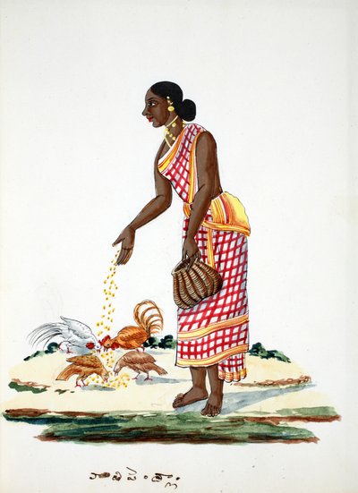 Mujer alimentando gallinas de Indian School