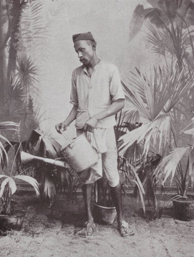 Bombay / Mumbai: Jardinero (foto b/n) de Indian photographer