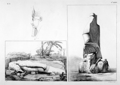 Memphis, Egipto, siglo XIX de Ippolito Rosellini