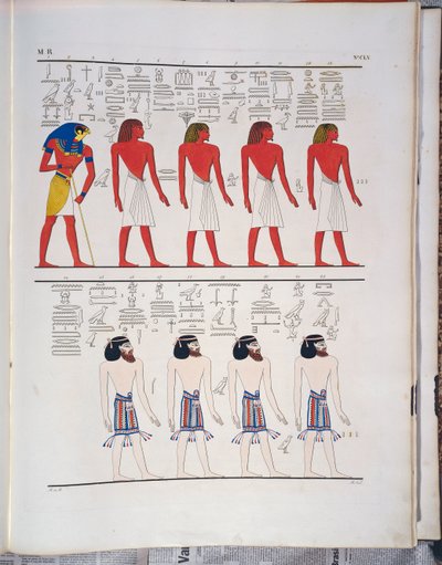 Las diferentes especies de hombres conocidas por los egipcios, representadas en la Tumba de Menphtah I de Ippolito Rosellini