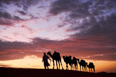 Un camellero conduce sus camellos en Erg Chebbi en el desierto de Merzouga, Marruecos, 2019 (foto) de Ira Block