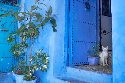 Una escena callejera en Chefchaouen, la ciudad azul de Marruecos, 2019 (foto) de Ira Block