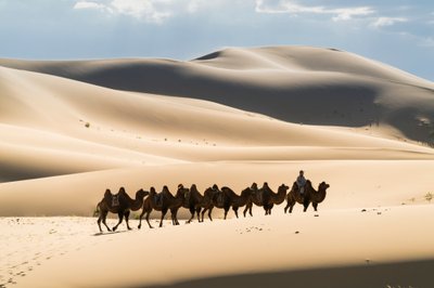 Caravana de camellos bactrianos en el Els Khongoryn del Parque Nacional de Gobi Gurvansaikhan..., 2016 (foto) de Ira Block
