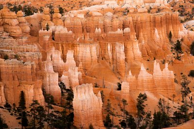 Hoodoos - agujas creadas por la erosión - en el Parque Nacional Bryce Canyon en Utah., 2019 (foto) de Ira Block