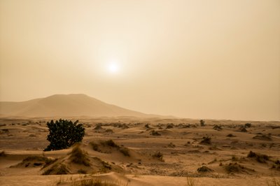 Dunas de arena en el desierto de Erg Chebbi, en el sureste de Marruecos, 2014 (foto) de Ira Block