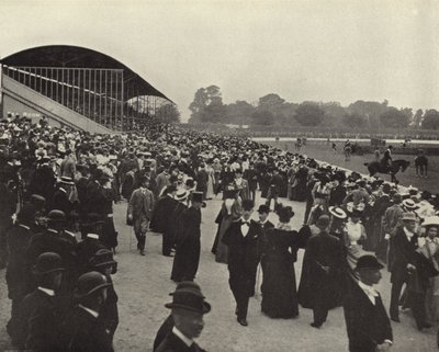 Exposición de caballos, Ball