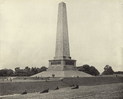 El Testimonial de Wellington, Phoenix Park (foto en blanco y negro) de Irish Photographer