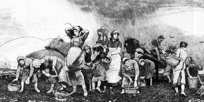 Cosecha de papas, c.1870s de Irish School