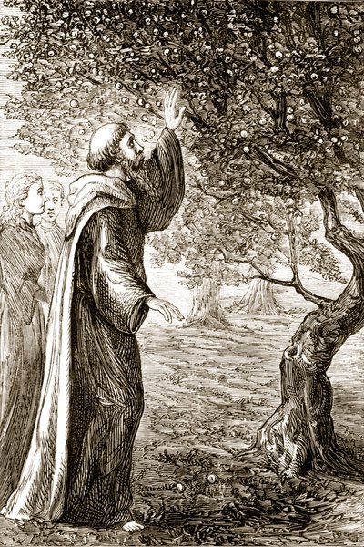 San Columba cambia fruta amarga en dulce, de The Trias Thaumaturga, o Tres Santos Milagrosos de Irlanda, por Mary Cusack (1829-99) publicado c.1890s de Irish School