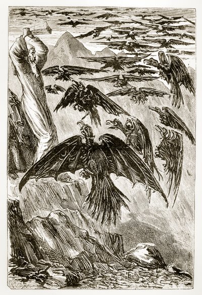 San Patricio y los pájaros demoníacos, de The Trias Thaumaturga, o Tres Santos Milagrosos de Irlanda, por Mary Cusack (1829-99) publicado c.1890s de Irish School