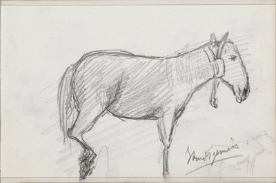 Caballo de Isaac Gosschalk