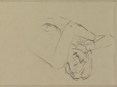 Desnudo femenino reclinado de Isaac Israels