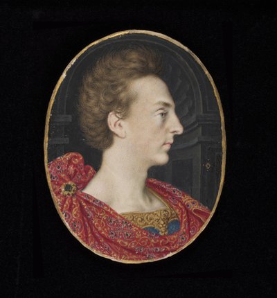 No.3903 Henry Frederick, Príncipe de Gales (1594-1612), hijo mayor del Rey James I de Inglaterra (VI de Escocia) de Isaac Oliver