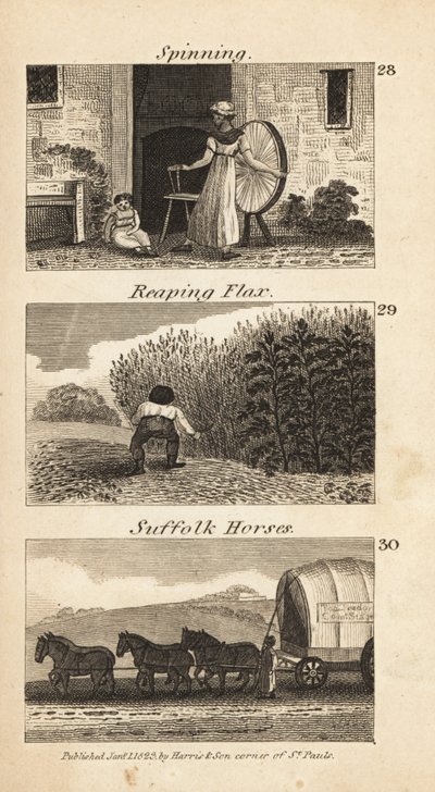 Imagen desconocida de Isaac Taylor