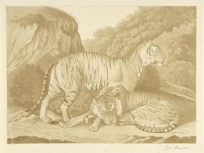 Dos tigres en un paisaje de Isaac van Haastert (signed by artist)