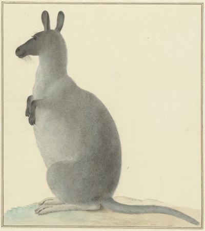 Canguro de Isaac van Haastert