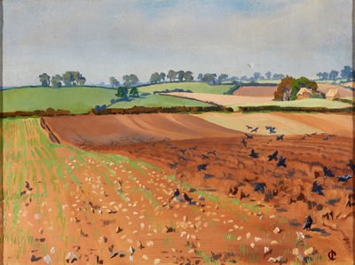 Campo arado de Isabel Codrington