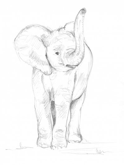 Cría de elefante 02 de Isabelle Brent