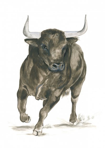 Poder de un toro embistiendo de Isabelle Brent