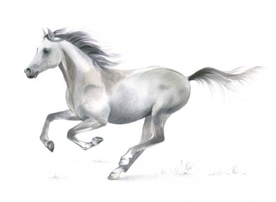 Gracia dinámica de un caballo al galope de Isabelle Brent