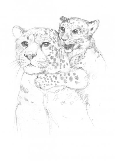 Leopardos de Isabelle Brent