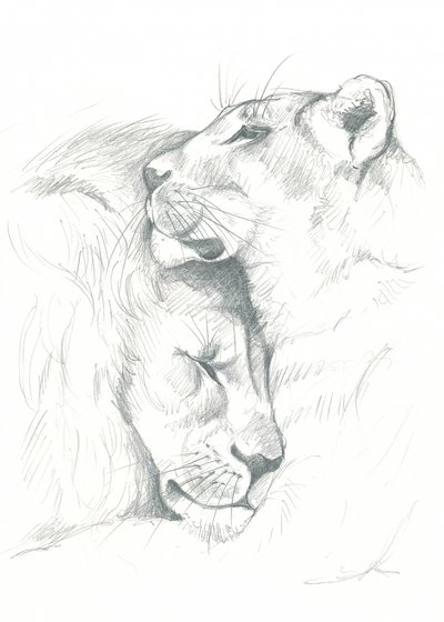 Serenidad del león de Isabelle Brent