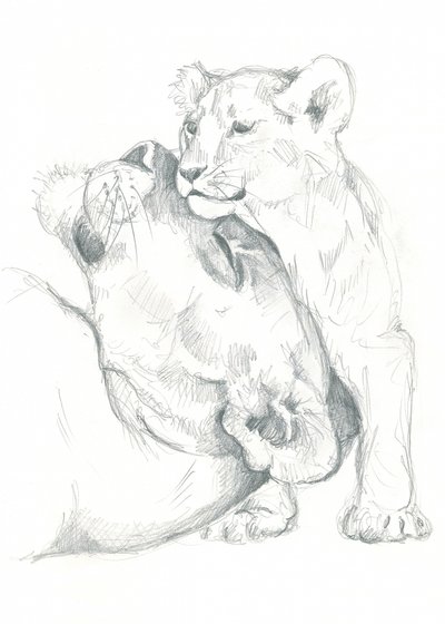 Estudio de dibujo de una leona y su cachorro de Isabelle Brent